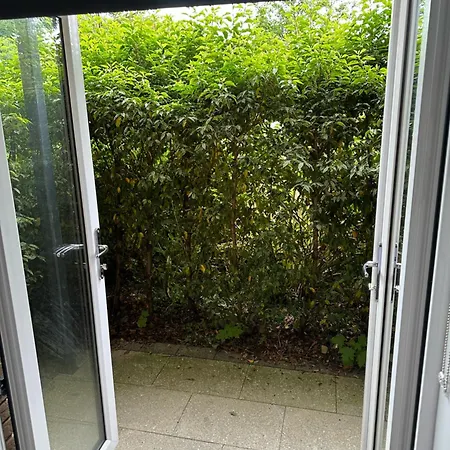 Bridgefield Santry 9 *