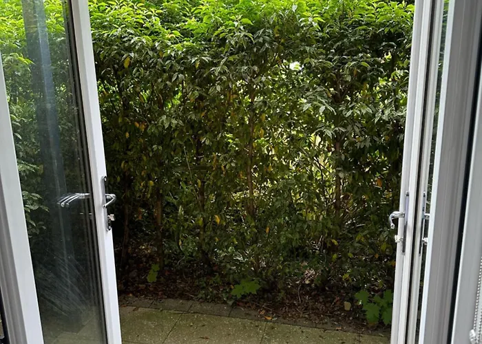 Bridgefield Santry 9 *